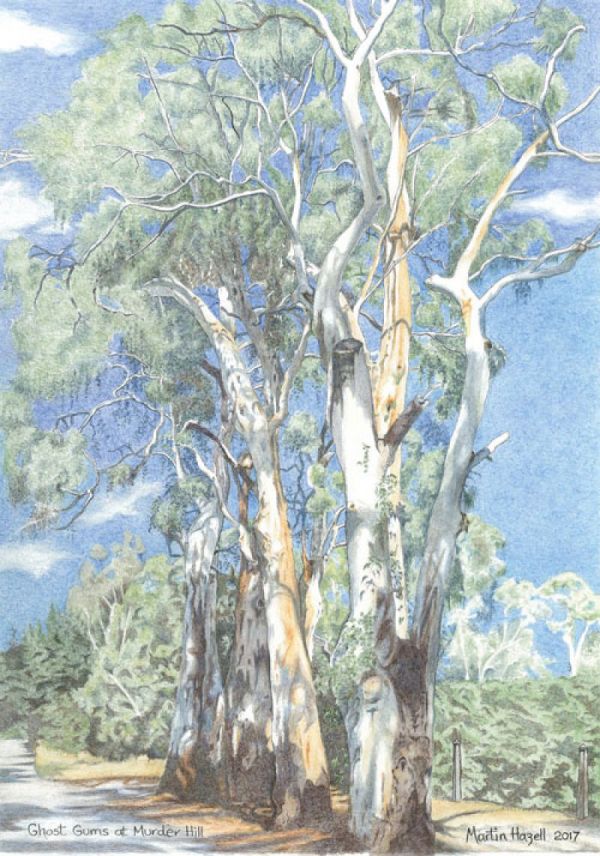 Ghost Gums, South Australia